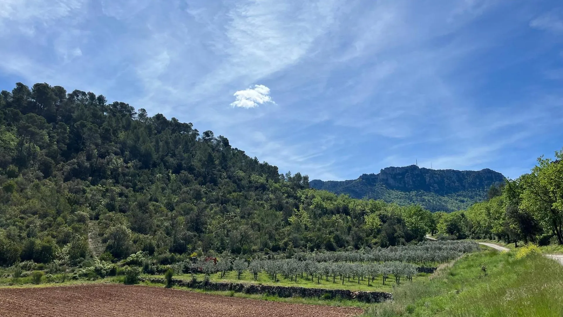 Lou Paradou Meounes-les-Montrieux Holiday home